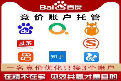 竞价推广实战：经典案例深度解析